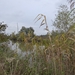 2012-11 10 Oudegem 008