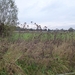 2012-11 10 Oudegem 009