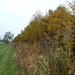 2012-11 10 Oudegem 010