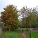 2012-11 10 Oudegem 014