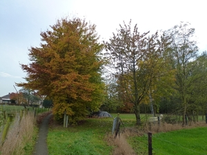 2012-11 10 Oudegem 014