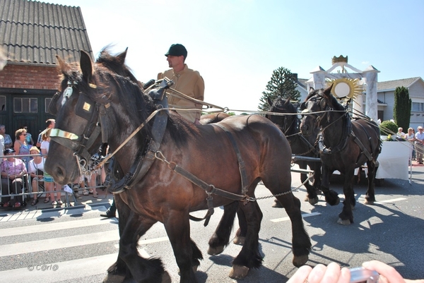 2012-05-27 Hegge ommegang Poederlee (290)