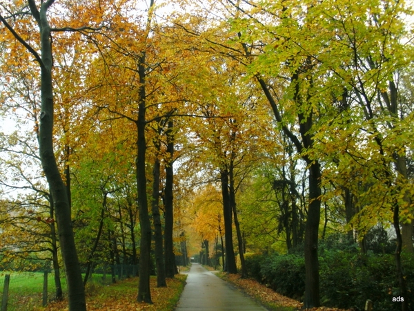 wandel mee aalter