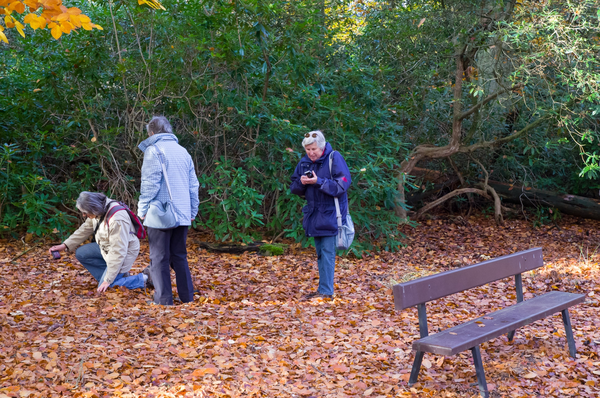 20121111_1543_IMGP8126