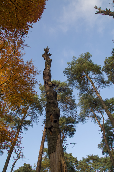 20121111_1549_IMGP8133