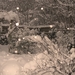 fotos 18 dec 2009 sneeuw joure (11)