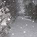fotos 18 dec 2009 sneeuw joure (4)