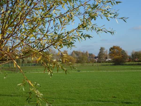 2012-11 11 Boortmeerbeek 006