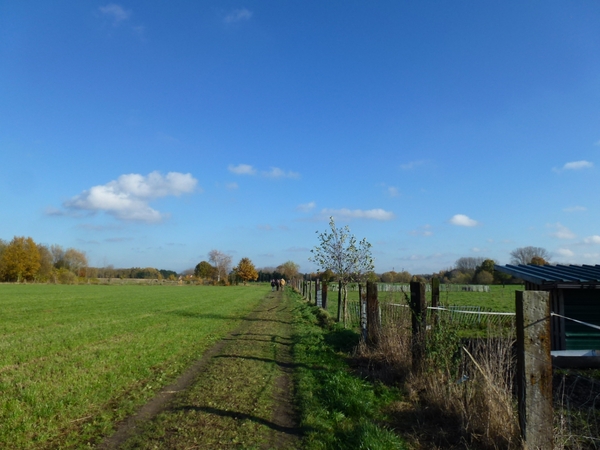 2012-11 11 Boortmeerbeek 007