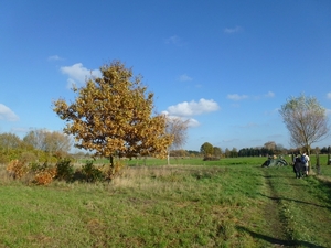 2012-11 11 Boortmeerbeek 008