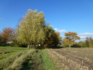 2012-11 11 Boortmeerbeek 010