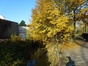 2012-11 11 Boortmeerbeek 013