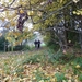 2012-11 12 Oordegem 014