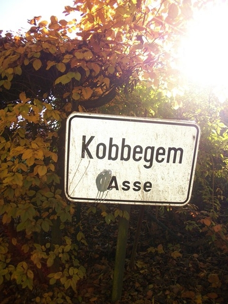 26-Doorheen Kobbegem
