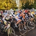 Hamme zogge 043