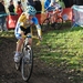 Hamme zogge 051