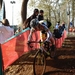 Hamme zogge 072