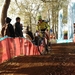 Hamme zogge 073