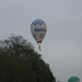 Hamme zogge 197