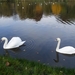 Steendorp November 2012 010