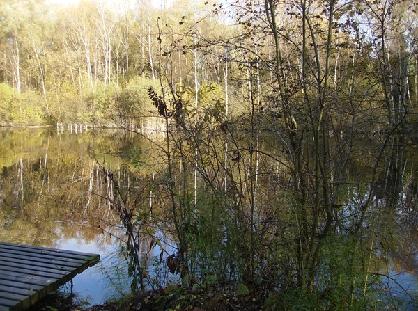 Steendorp November 2012 029