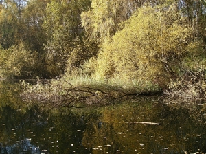 Steendorp November 2012 033