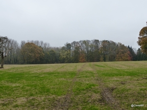 2012-11 13 Lierde 008