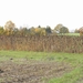 _DSC0005 (2)