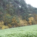 _DSC0005 (3)