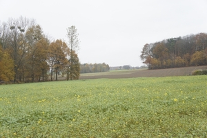 _DSC0010
