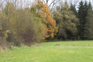 _DSC0012 (2)