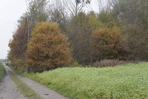 _DSC0012