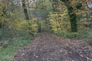 _DSC0015
