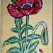 Papaver