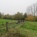 2012-11-16 Schorisse 007