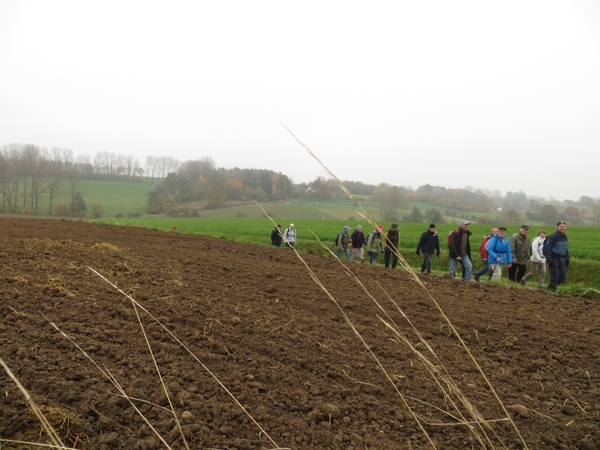 2012-11-16 Schorisse 009