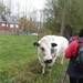 2012-11-16 Schorisse 017