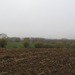 2012-11-16 Schorisse 018