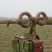 2012-11-16 Schorisse 022