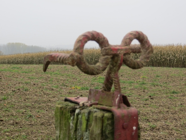 2012-11-16 Schorisse 022
