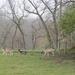 2012-11-16 Schorisse 029