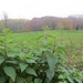 2012-11-16 Schorisse 030