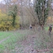 2012-11-16 Schorisse 039