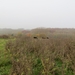 2012-11-16 Schorisse 044