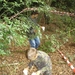 IM_A0046