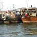 69. Dubai-Dhows in de haven (4)