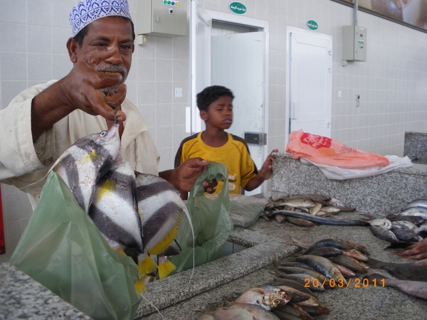 7. Vismarkt in Sohar IMGP1666