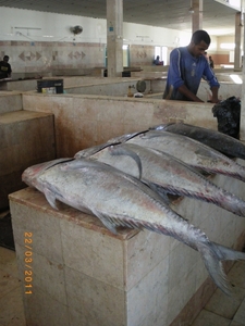 9. Overdekte vismarkt in Seeb. IMGP1742