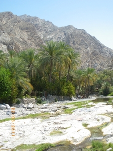 18. Wadi Bani Awf. Een prachtige oase. IMGP1751