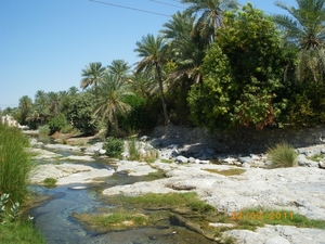 19. Wadi Bani Awf. Een prachtige oase. IMGP1752